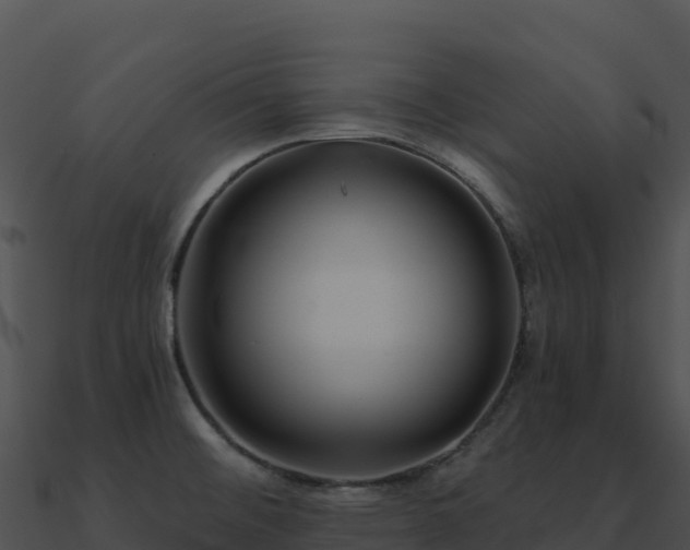 X0000091001476200708021550