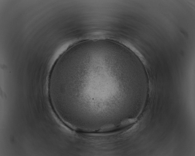 X0000091001477200708021550