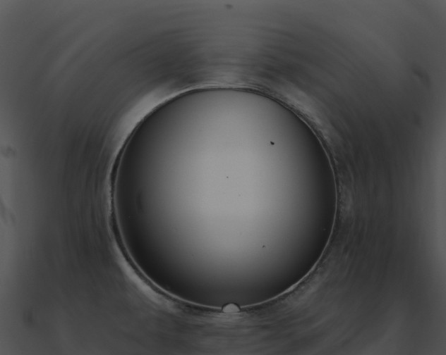 X0000091001479200708021550
