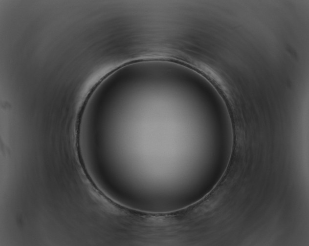 X0000091001480200708021550