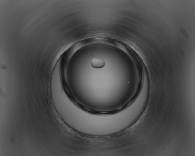 X0000091001481200708021550