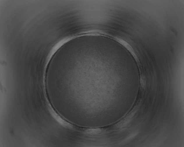 X0000091001482200708021550