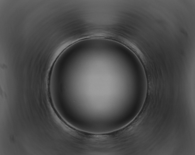 X0000091001483200708021550