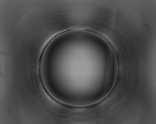 X0000091001484200708021550