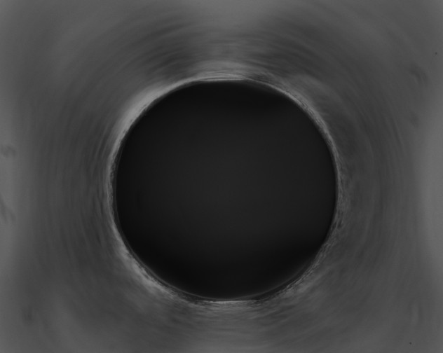 X0000091001488200708021550
