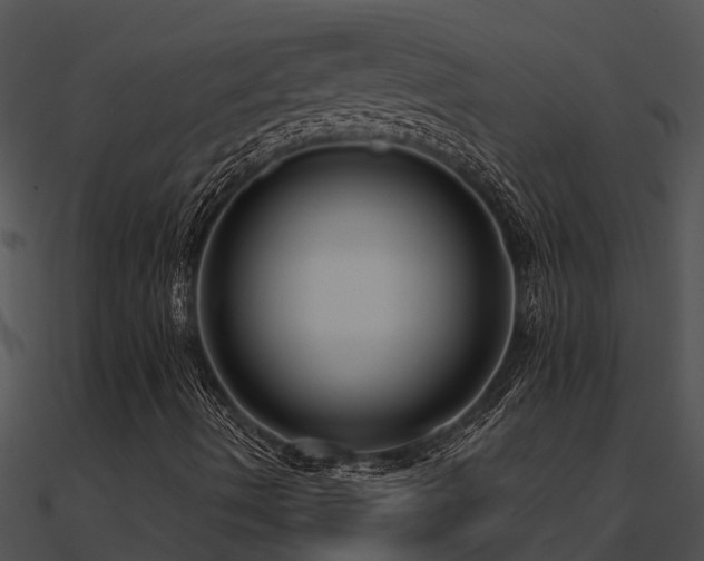 X0000091001490200708021549