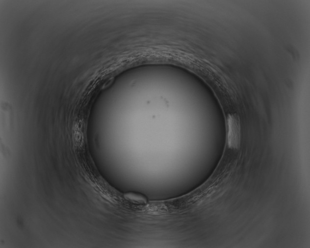 X0000091001491200708021549