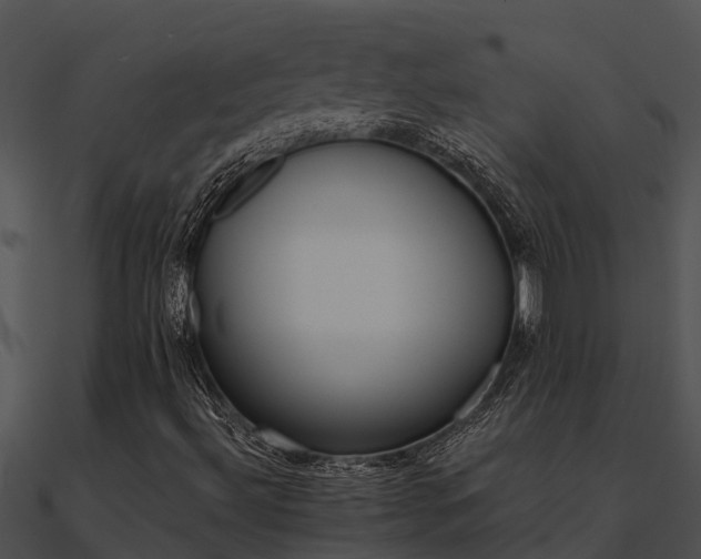 X0000091001492200708021549