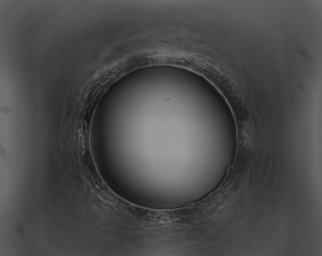 X0000091001493200708021549