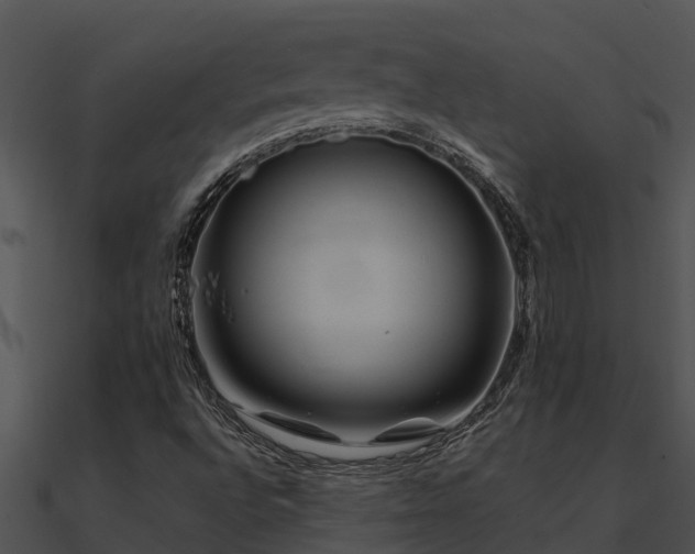 X0000091001496200708021549