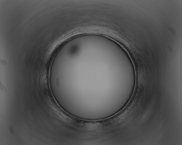 X0000091001498200708021549