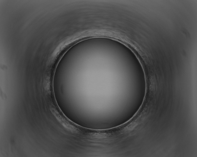 X0000091001499200708021549