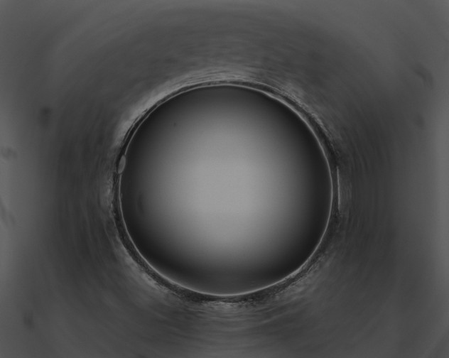 X0000091001500200708021549