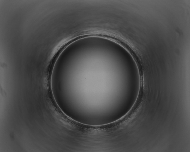 X0000091001501200708021549