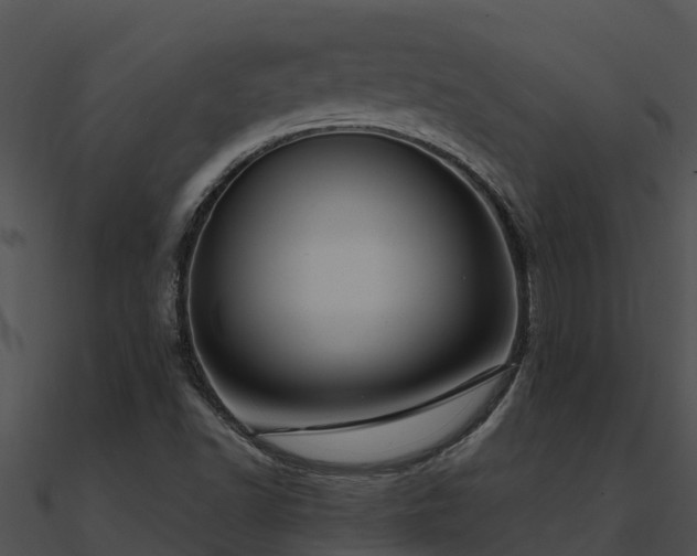 X0000091001502200708021549