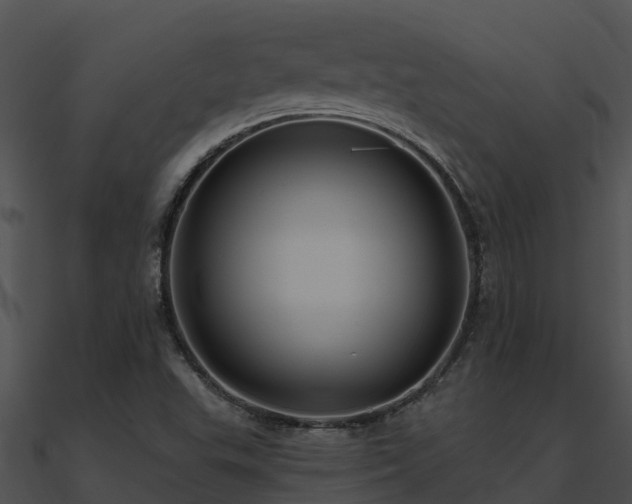X0000091001503200708021549