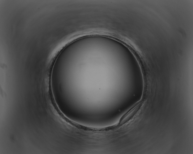 X0000091001504200708021549