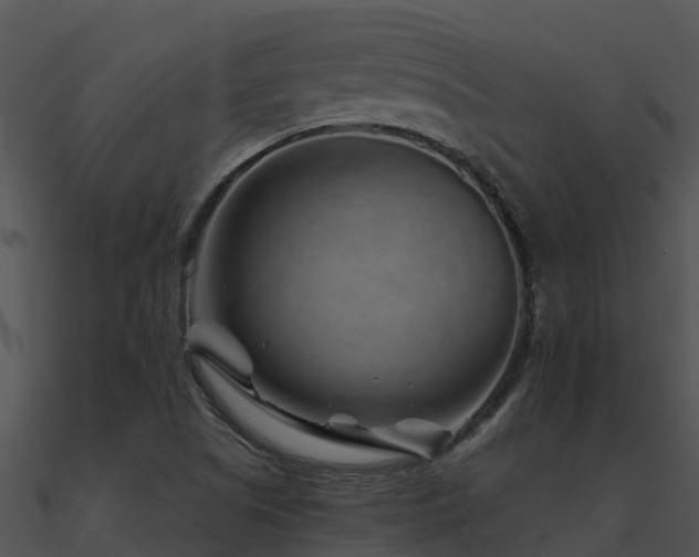 X0000091001505200708021549