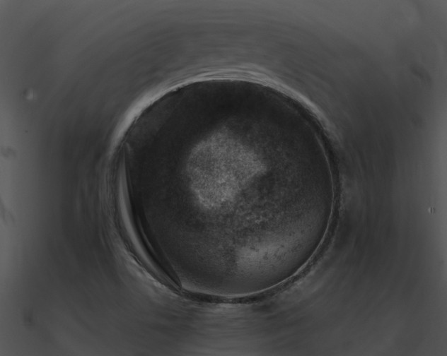 X0000091001506200708021549