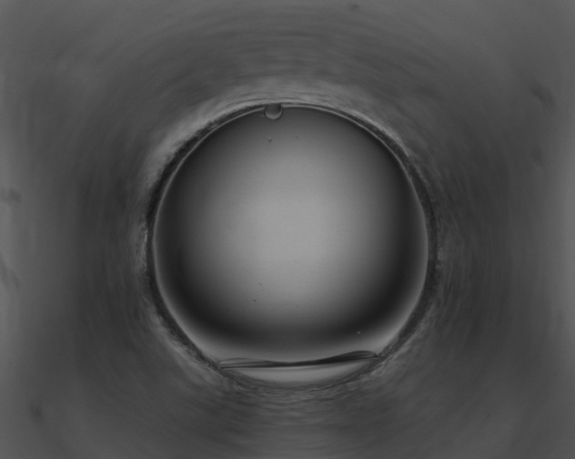 X0000091001507200708021549