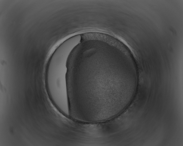 X0000091001508200708021549