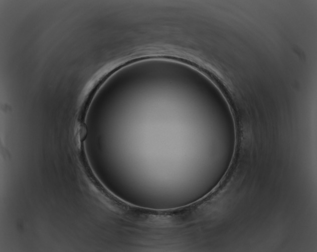 X0000091001509200708021549