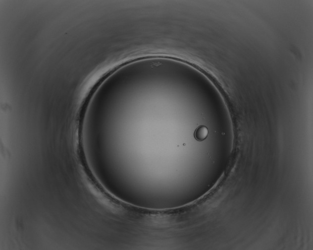 X0000091001511200708021549
