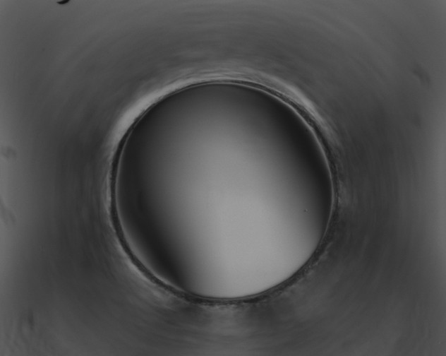 X0000091001512200708021549