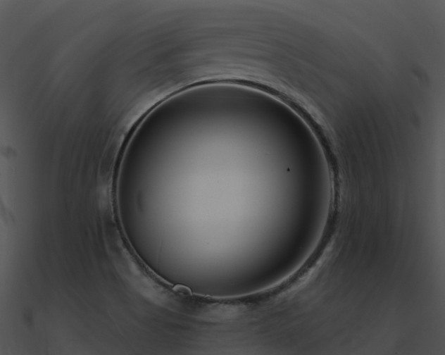 X0000091001513200708021549