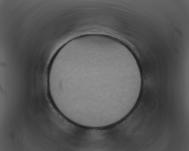 X0000091001514200708021549
