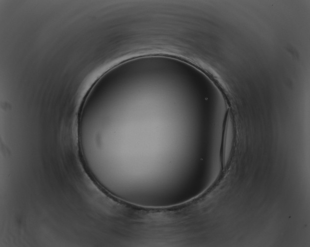 X0000091001516200708021549