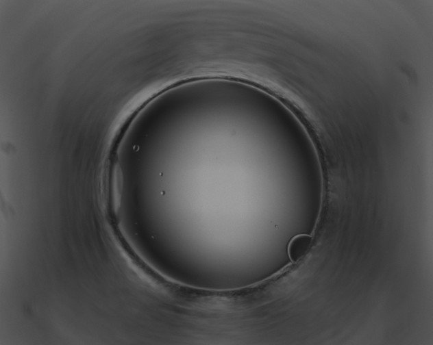 X0000091001517200708021549