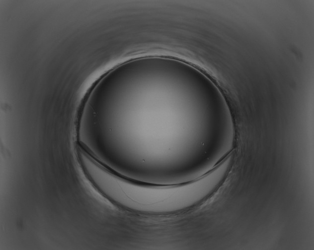 X0000091001518200708021549
