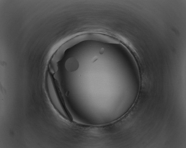 X0000091001520200708021549