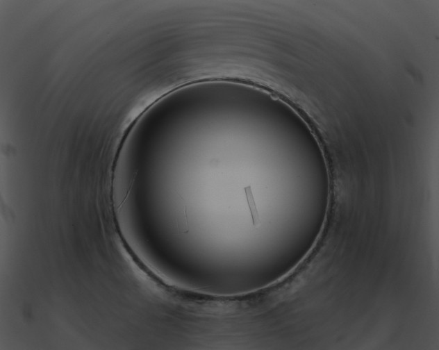 X0000091001521200708021549