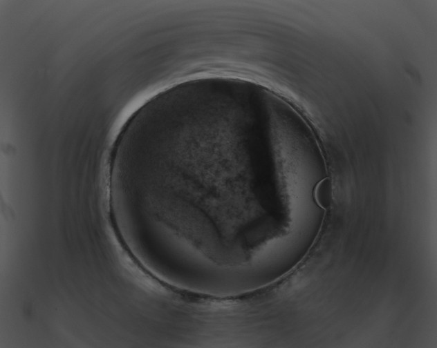 X0000091001522200708021549