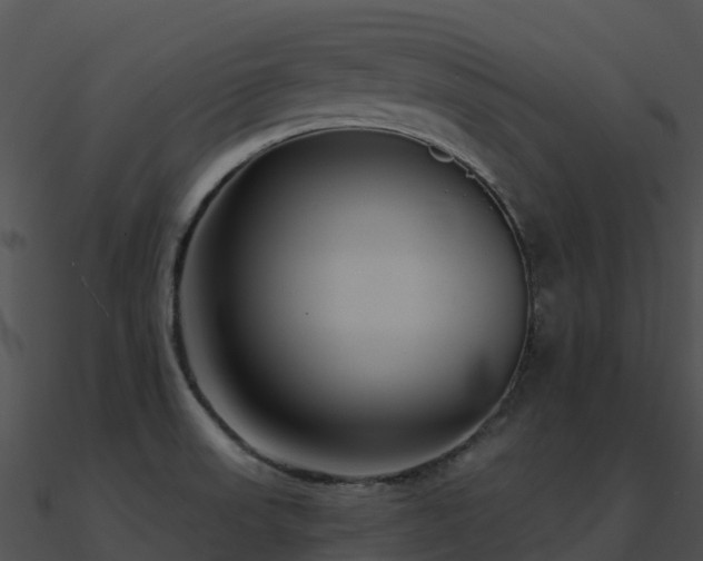 X0000091001523200708021549