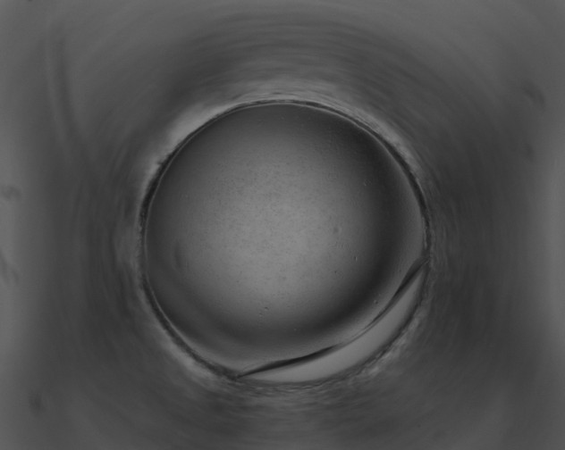 X0000091001525200708021549