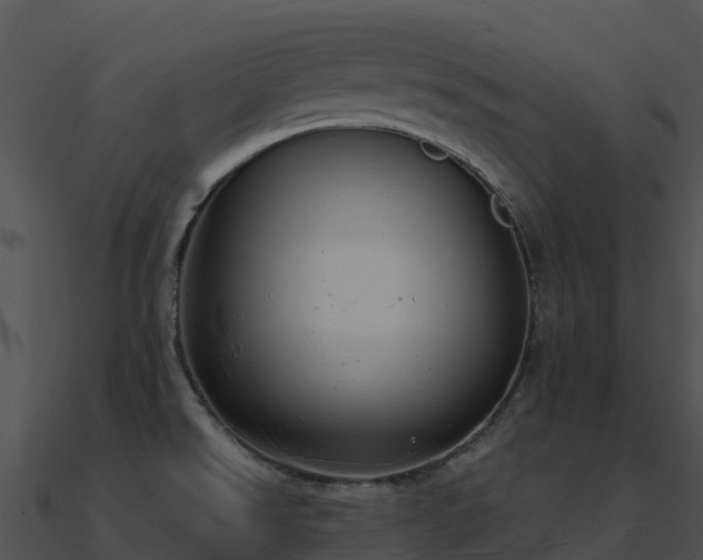 X0000091001526200708021549