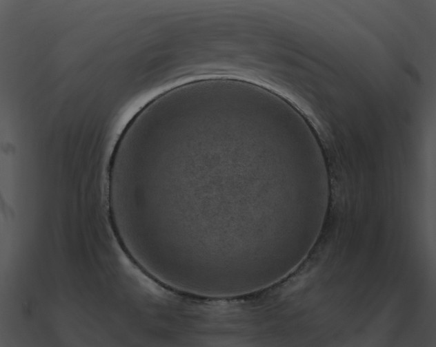 X0000091001527200708021549