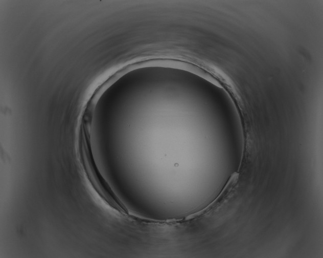 X0000091001528200708021549