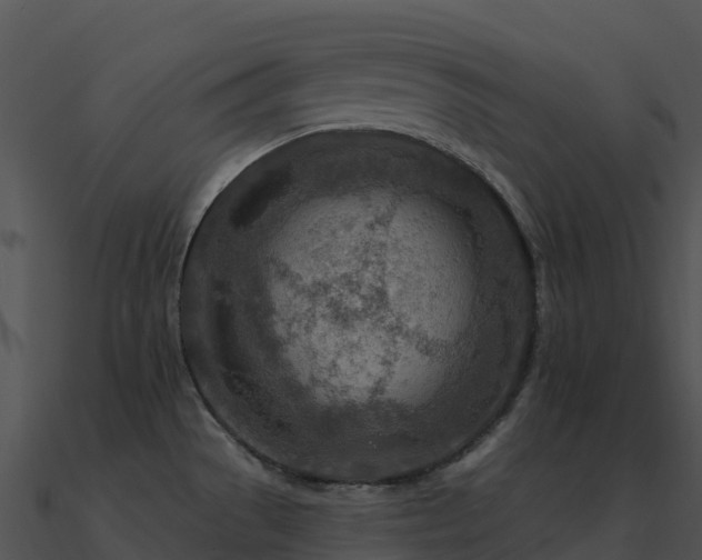 X0000091001529200708021549