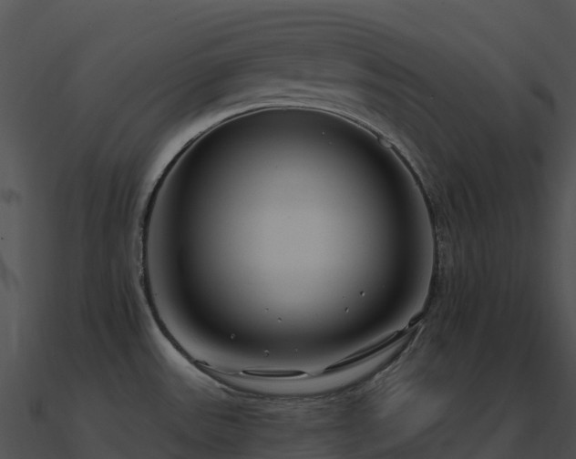X0000091001531200708021549