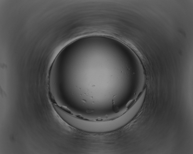 X0000091001532200708021549