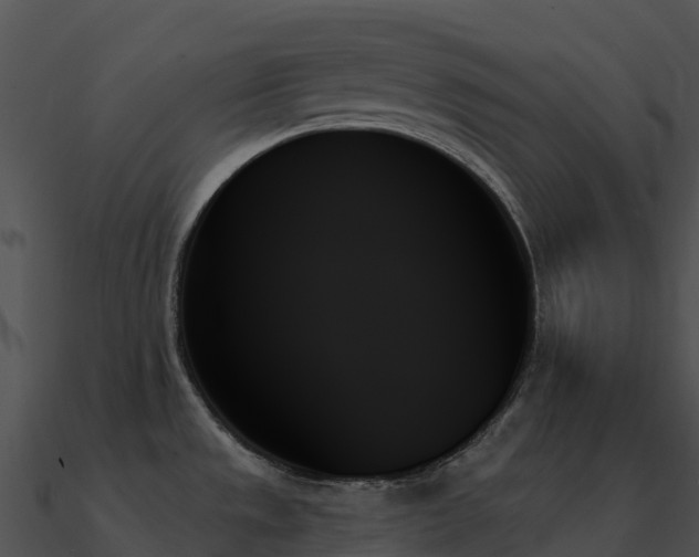 X0000091001533200708021549