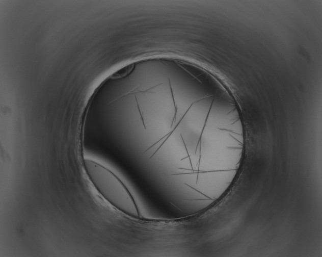 X0000091001534200708021550