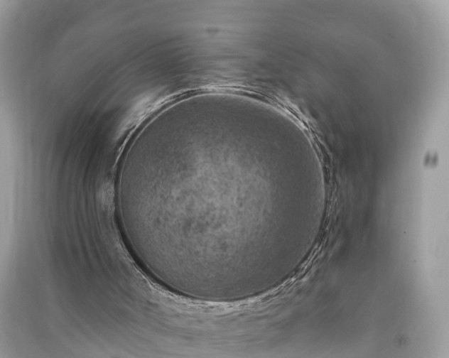 X0000091000002200708091550
