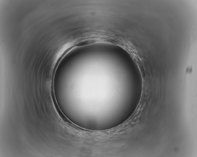 X0000091000003200708091550