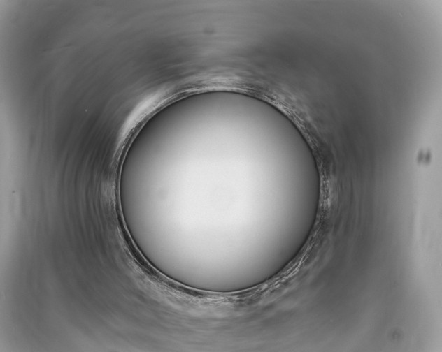 X0000091000004200708091550