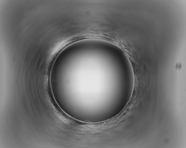 X0000091000005200708091550